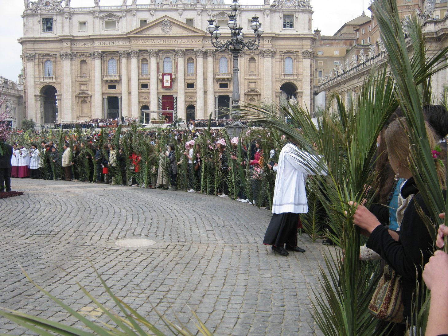 Palm Sunday Procession at St. Peter's Square 1st April 2012